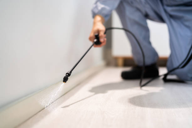 Licensed Termite Control service in Spokane, WA - Nex Pest Control