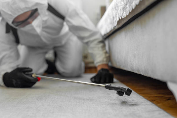 Professional Termite Control technician working in Spokane, WA