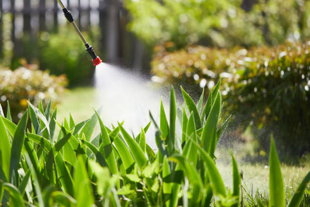 24/7 Emergency Termite Control experts in Spokane, WA