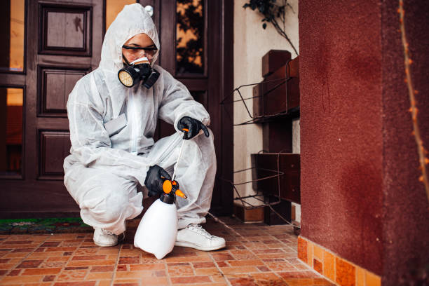 Reliable Termite Control contractor in Spokane, WA by Nex Pest Control