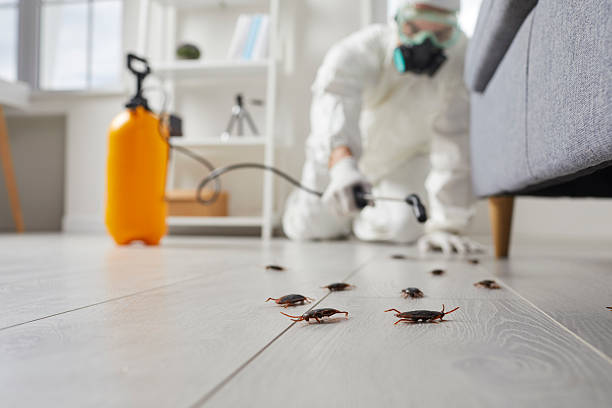 Affordable Termite Control solutions in Spokane, WA