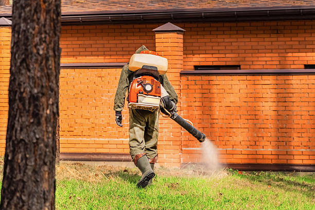 Top rated local Termite Control specialists in Spokane, WA